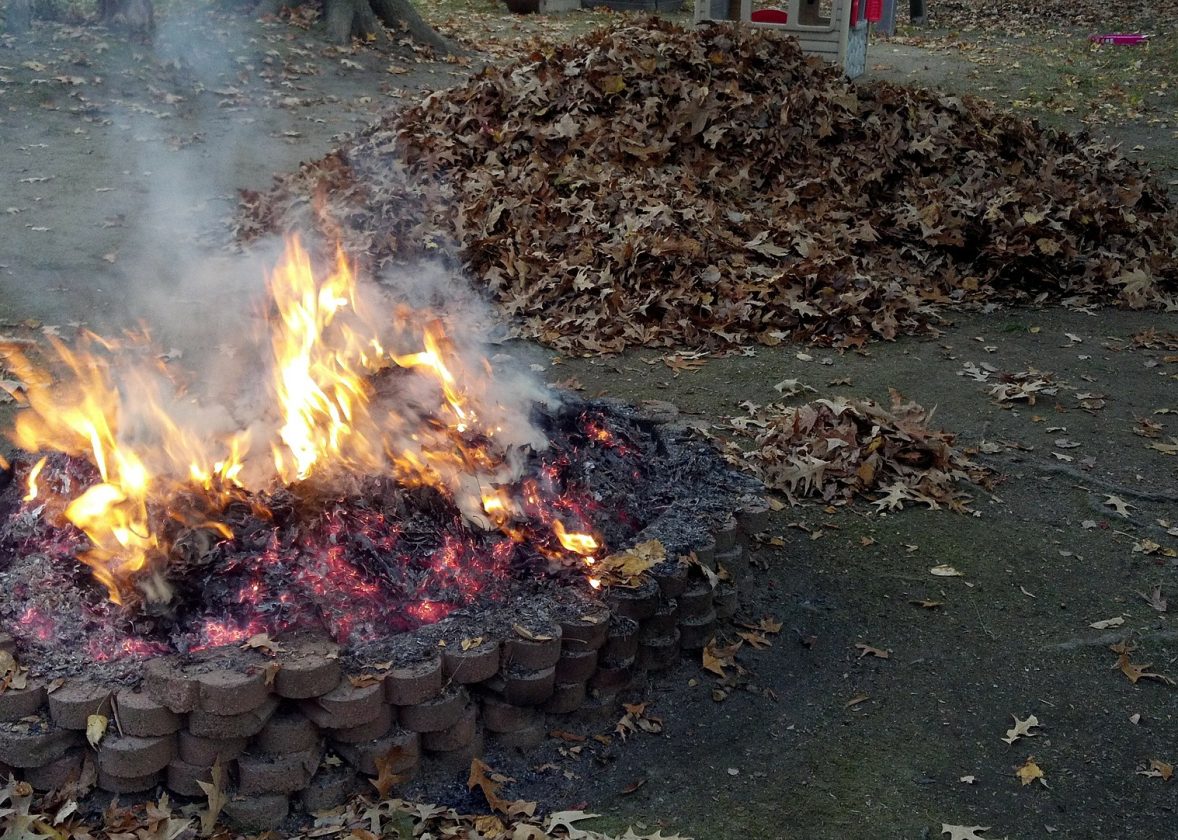 LEGEA COMPOSTULUI arderea frunzelor interzisă din 20.02.2021