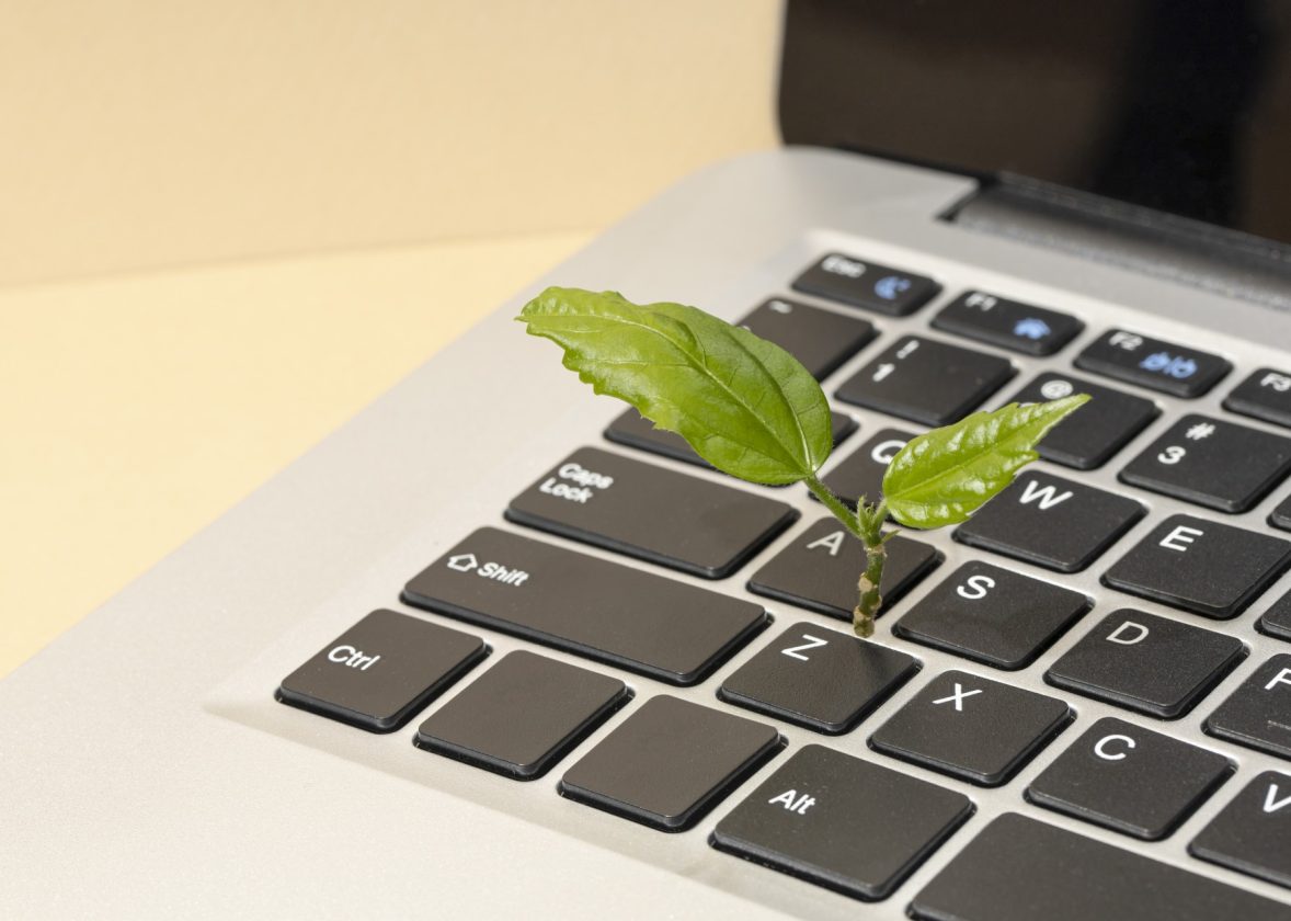 Mediu IT sustenabil: reducerea amprentei de carbon prin reciclarea dispozitivelor