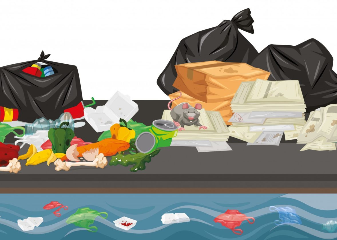 Deșeurile menajere și solul: efectele poluării pe termen lung