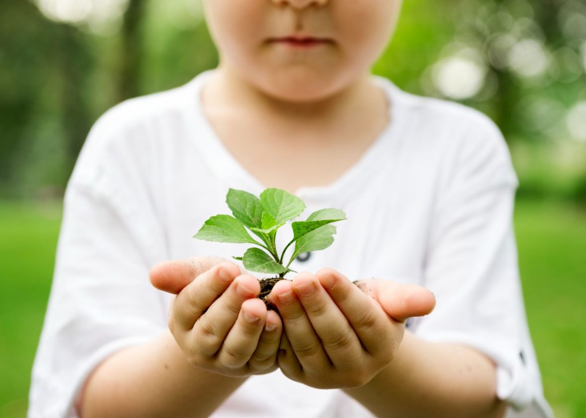 Protecția mediului în 2025: soluții eficiente pentru un viitor sustenabil